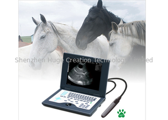 Китай Блока развертки ультразвука ноутбука КЛС5800 система цифров ветеринарного вполне ультразвуковая диагностическая поставщик